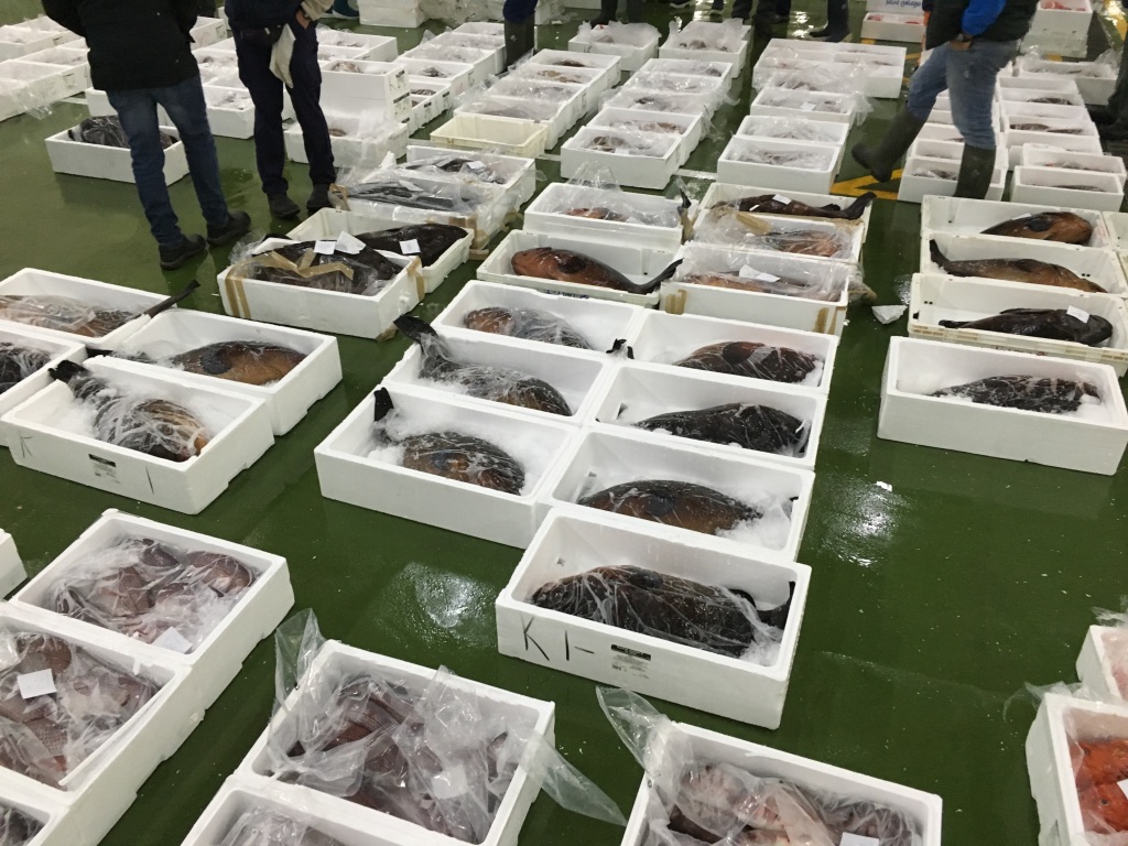 VARIOUS FISH FROM FOREIGN MARKET