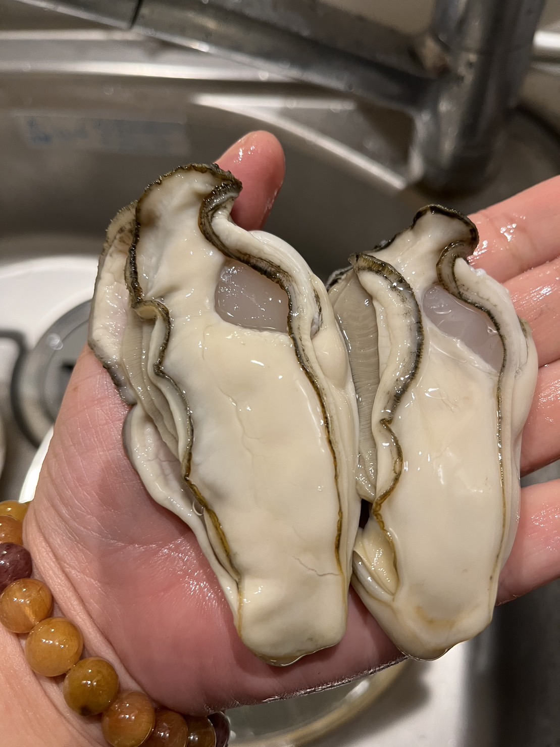 FRESH OYSTER FROM KESENNUMA GULF