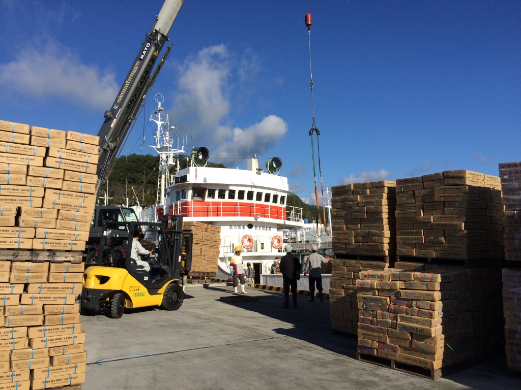 LOADING FISHING BAIT TO THE TUNA BOAT IN KESENNUMA PORT