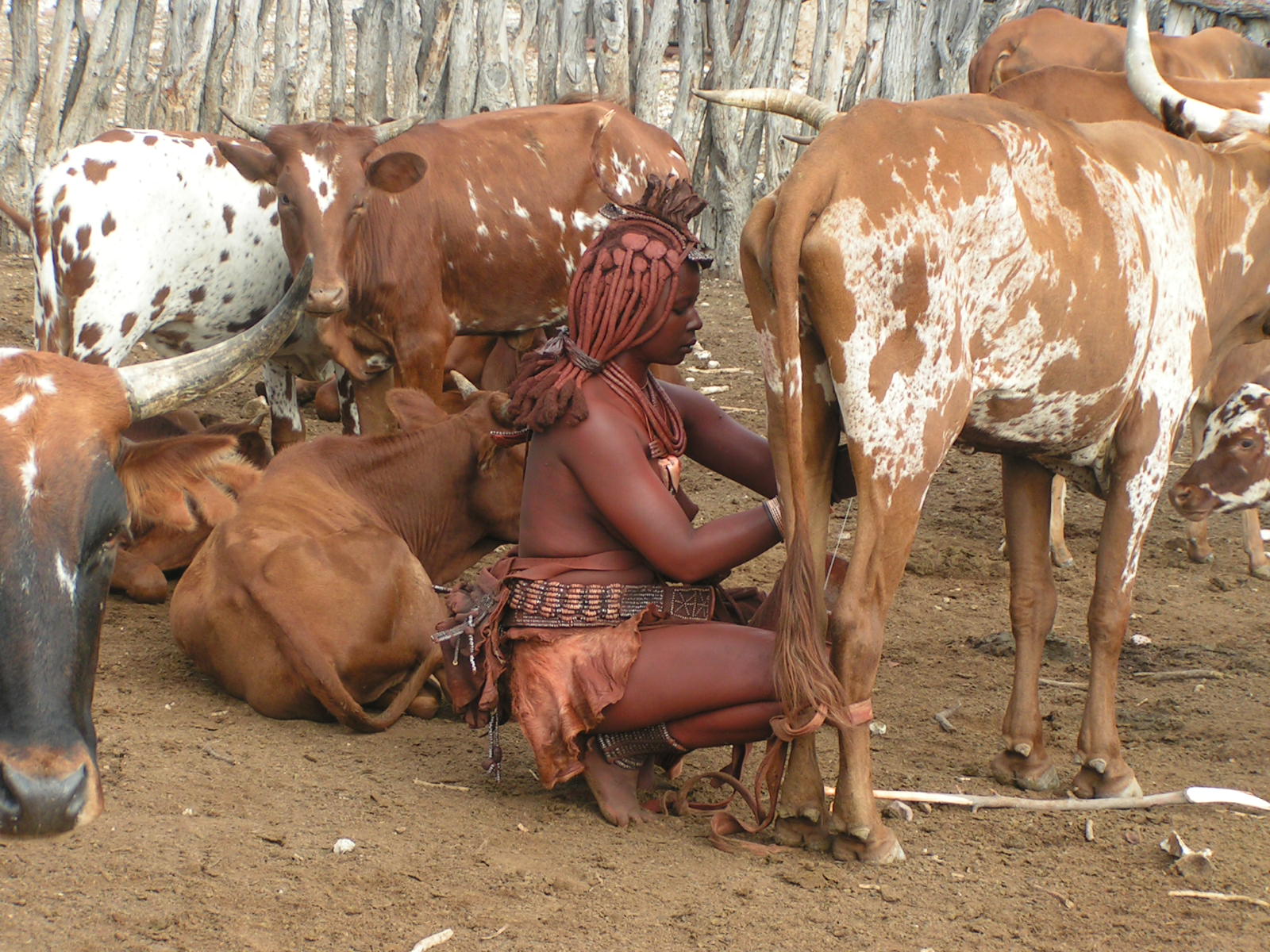 Himba im Kaokoland