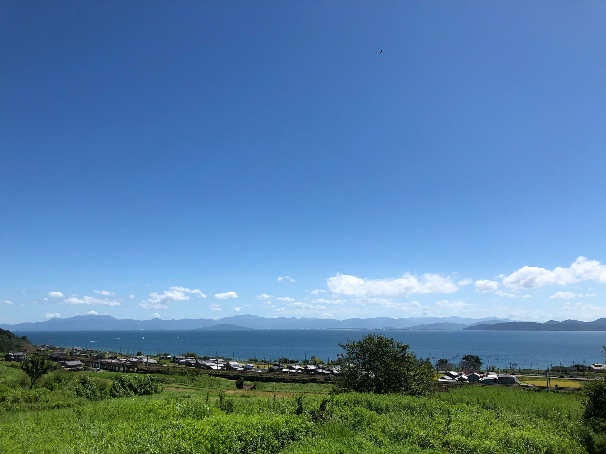 新体道とは_Shintaido of America - shintaido-nabe ページ！