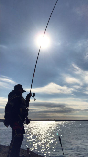 警告 オレガ別誂50インプレッション - gure8 iso game fishing 警告 オレガ別誂50インプレッション - gure8 iso game fishing
