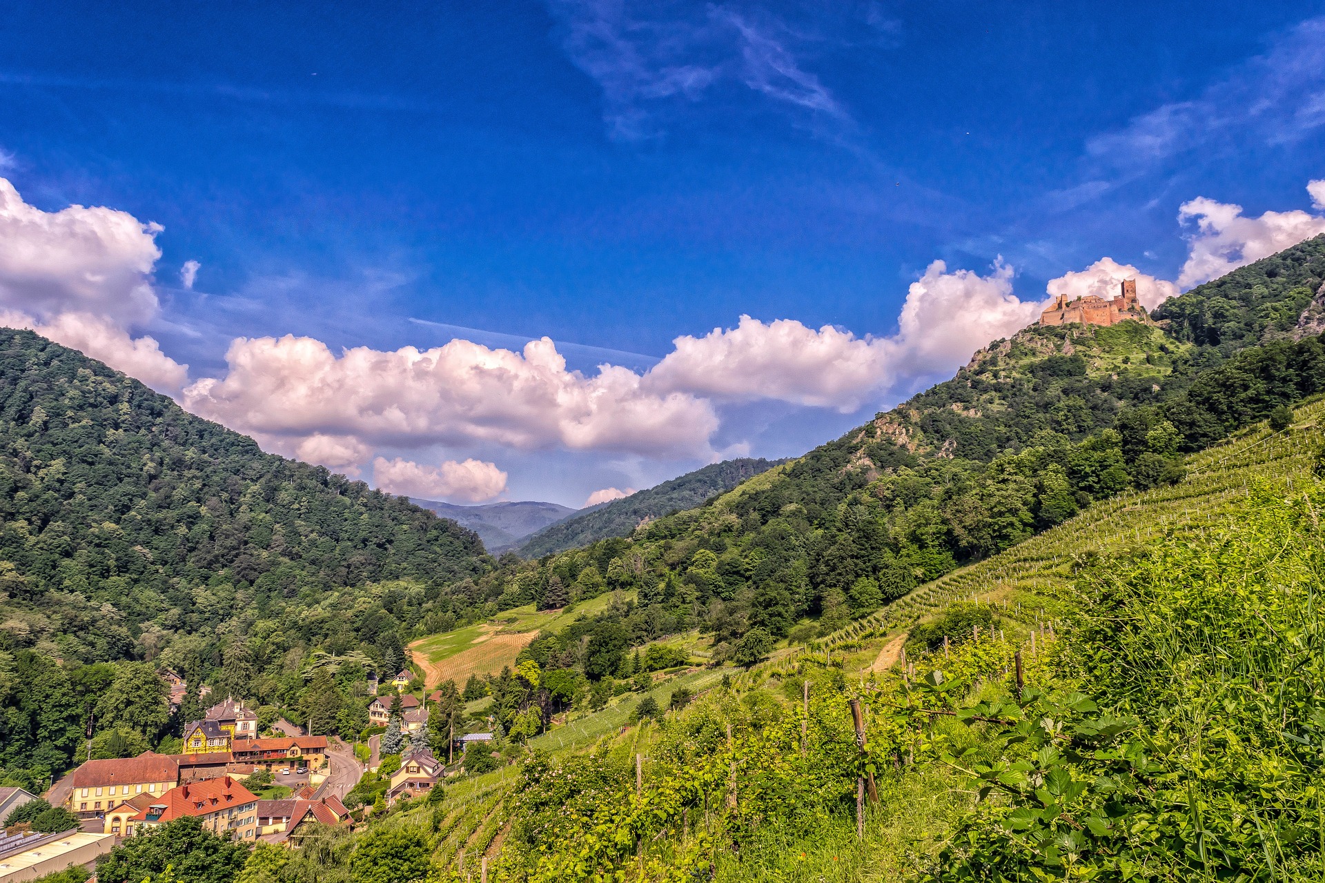 Randonnée sur les Sommet Alsace-Vosges