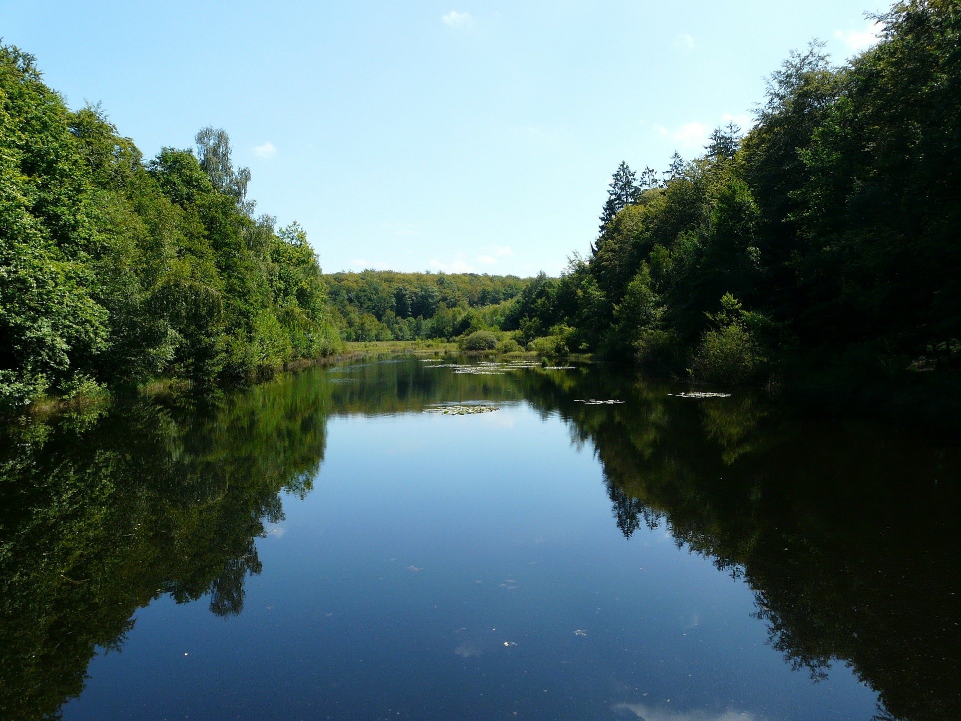 Vos Congés au vert dans les Vosges