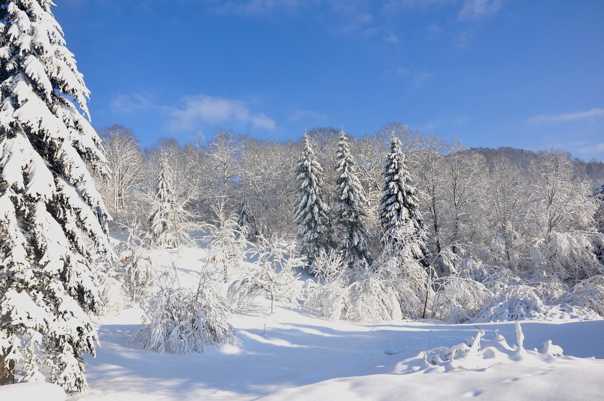 Domaine Skiable La belle montagne à la Bresse