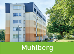 Link zu Wohngebiet Mühlberg