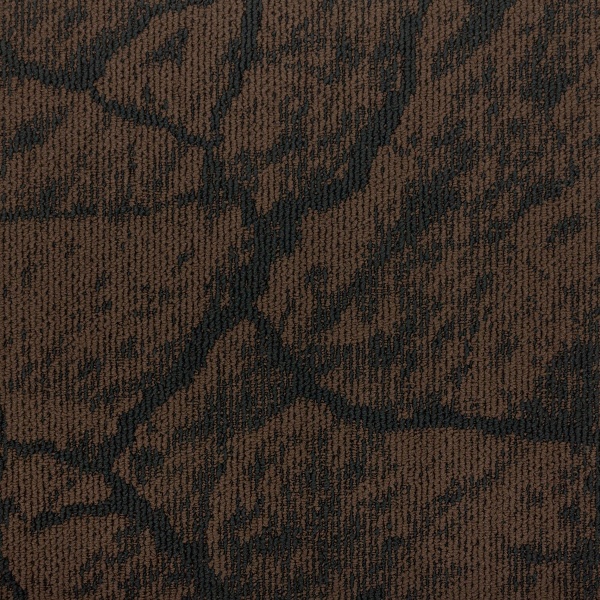 EARTH 1134