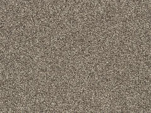 EFORCE 42