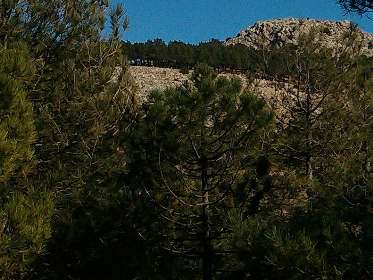 Kiefernwälder in der Sierra Espuna