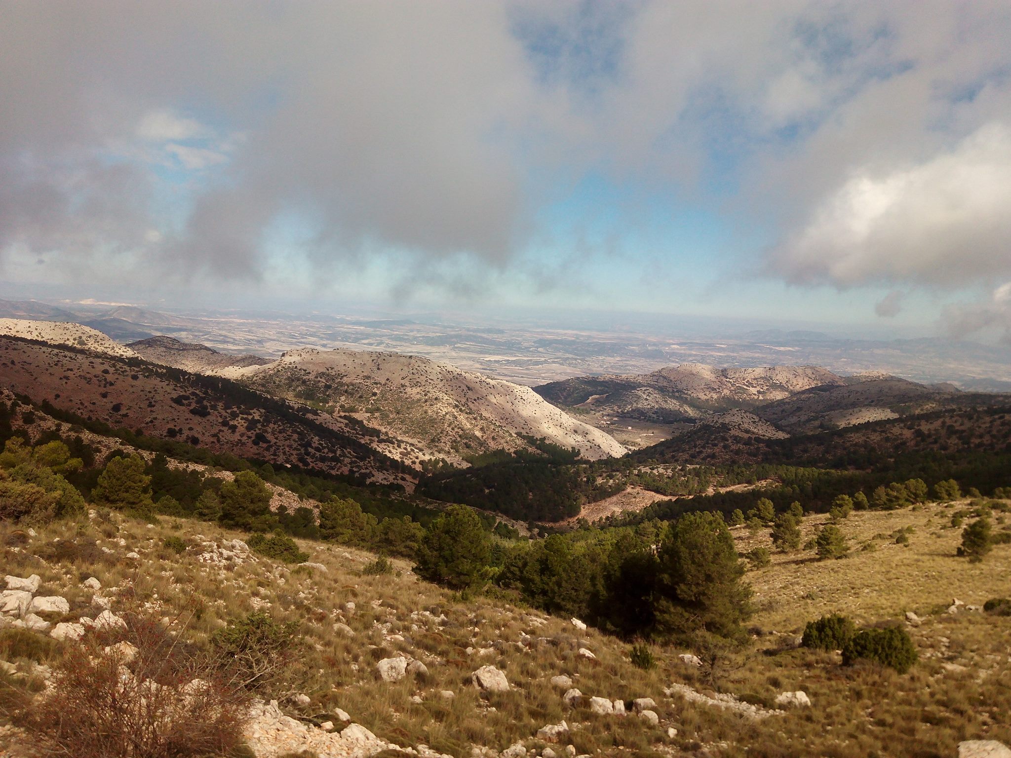 Steppe in der Sierra Espuna