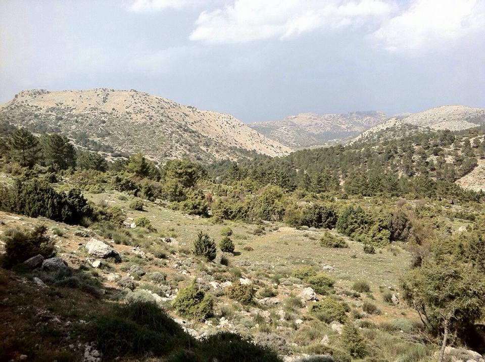 Blick in die Sierra
