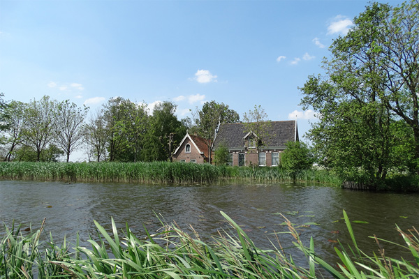 Wuivend riet Boerderij 