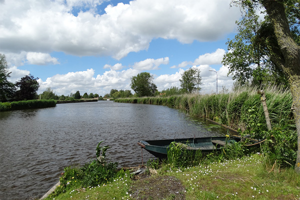 De Hoef Riet Roeiboot