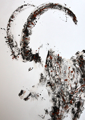 Autres animaux