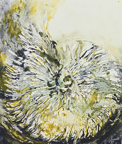 Vanité sédimentaire IV, 60x40cm
