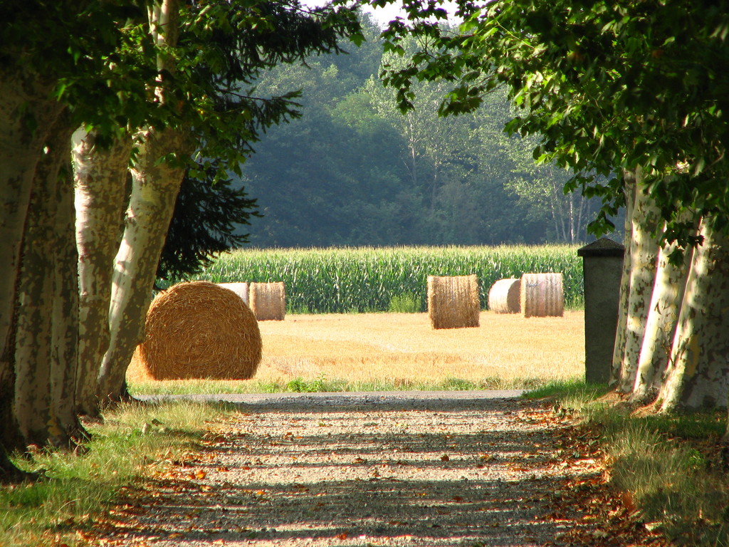 Arrivée au Domaine de Baloc