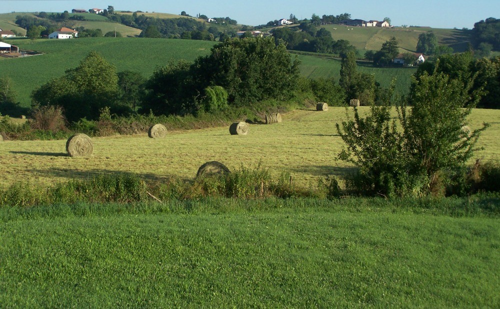 Autre vue de la pelouse
