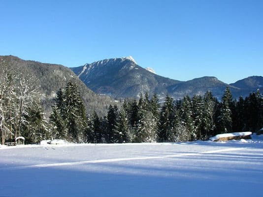 Nullenergiehäuser in massiver Blockbauweise - Wohngesunde Wohnblockhäuser aus Finnland - Architektenhäuser in massiver Blockbauweise nach moderner und rustikaler Art - Winterfeste Holzhäuser - Massive Blockbohlenhäuser - Deutschland 