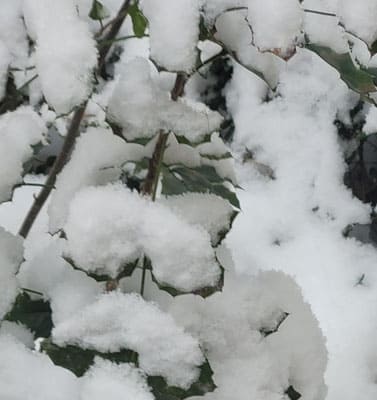 Noch mehr Schnee  