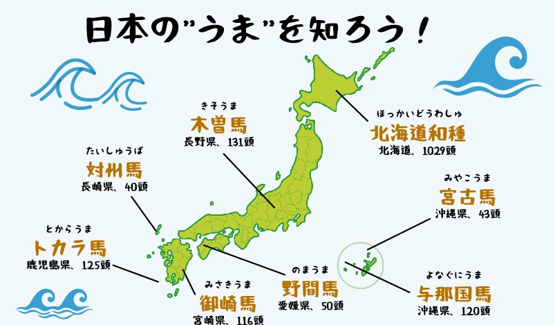 日本在来馬は、全国に8種類！特徴や頭数を紹介