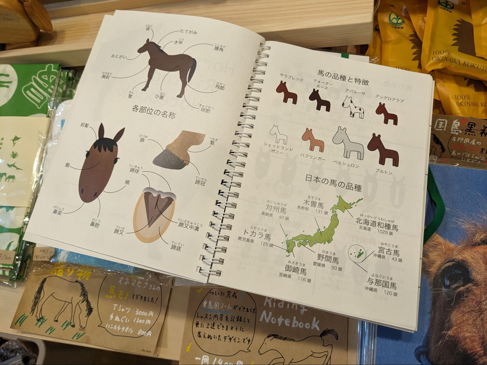 あなたの乗馬を記録する「乗馬ノート」のご紹介