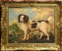  " Water Spaniel" after George Stubbs ( 1724-1806)