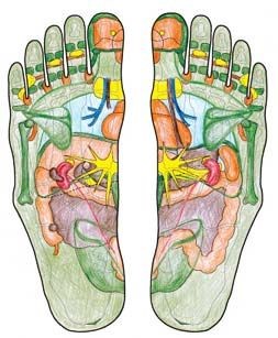 Darstellung der unterschiedlichen Reflexzonen der Füße