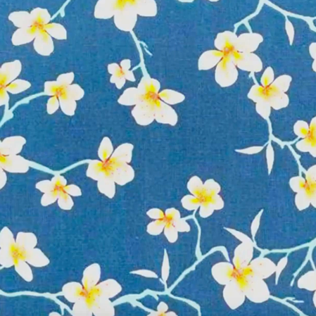 Le printemps de l'accordéon