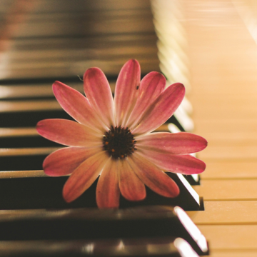 Un piano en printemps