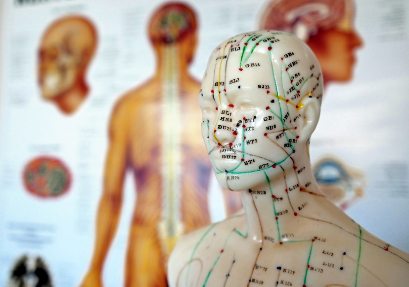 TCM (Trad. Chinesische Medizin) - Physiotherapie & Naturheilkunde ...