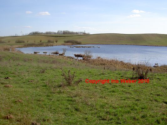 Der Bültenpfuhl. - Ein wunderschöner Teich vor eindrucksvoller Hügellandschaft.