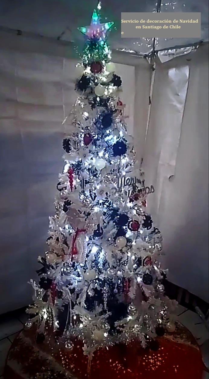 Navidad 2023 - San Miguel