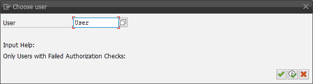 SAP Business Warehouse authorization check