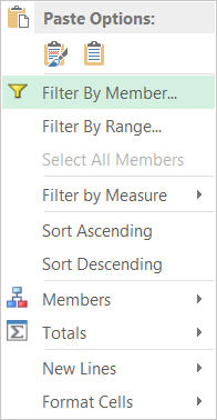 Filter by Member via Context Menu