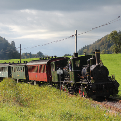 Bauma - Steam Train