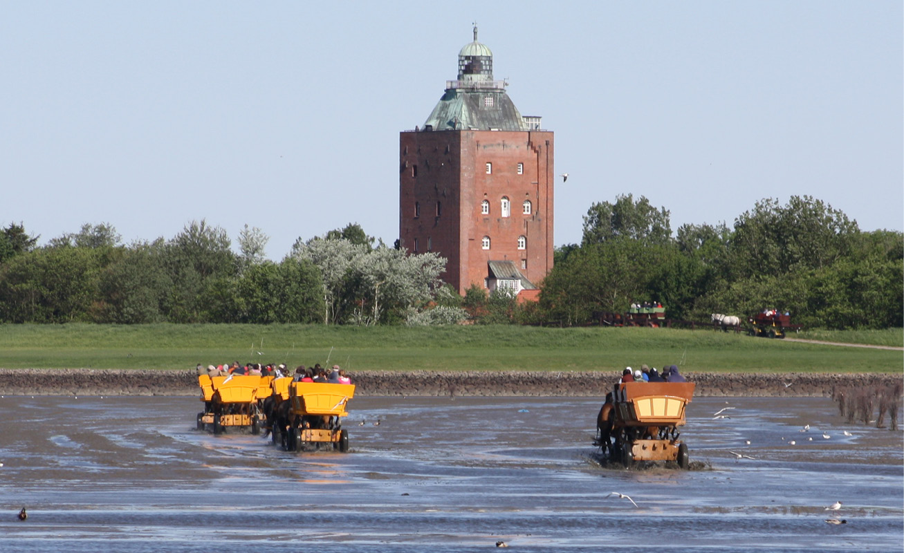 Whether on foot, by coach or by boat. Neuwerk is a little paradise for those seeking peace and quiet and nature lovers.