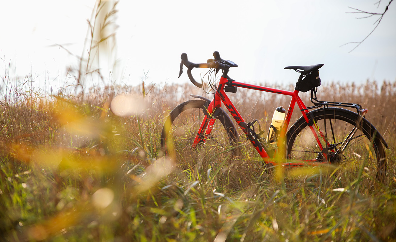 Explore the coastal forests and heathland on flat and straight paths along miles of beaches.