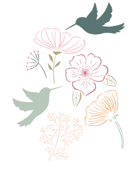 Vol de colibris