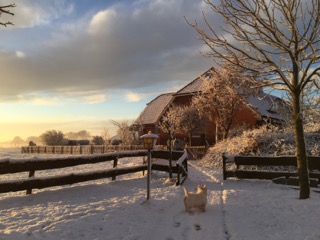 Winterzauber