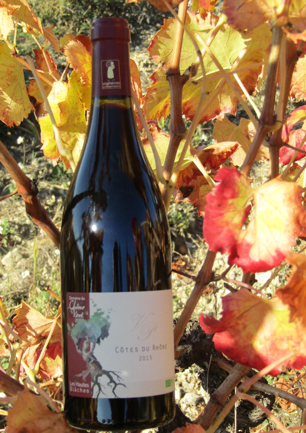 DOMAINE DU CHÊNE VERT - Site de domaineduchenevert