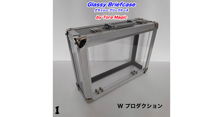Glassy Briefcase / グラッシー ブリーフケース（W