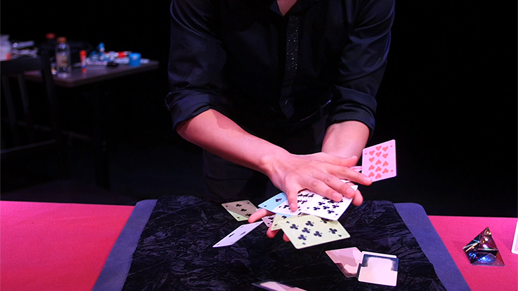 邦楽 52 SHADES OF RED SHIN LIM DVD 返品送料無料】 by Red of Shades 52 Shin Gimmick and DVD Lim