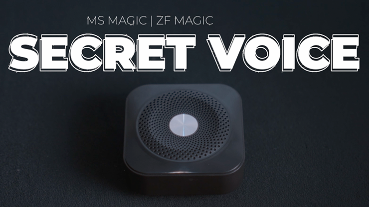 Secret Voice / シークレット ボイス（隠しスピーカー
