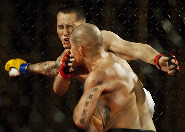 Zwei MMA-Kämpfer kämpfen im Ring. Der Kämpfer mit den gelben Handschuhen schlägt den Kämpfer mit den roten Handschuhen.