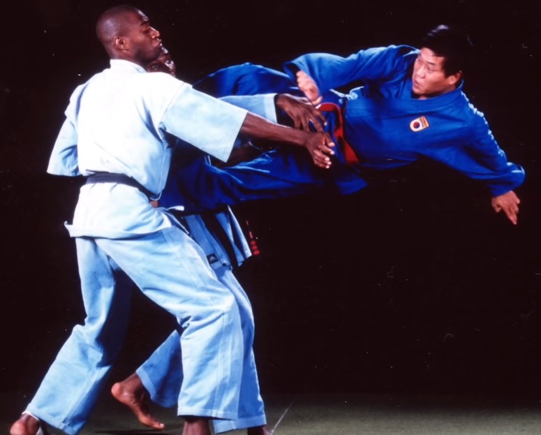 Kämper des Vovinam Viet Vo Dao machen einen Vorführung. Ein Kämpfer wehrt sich mit einem Scherentrittsprung gegen zwei Angreifer.