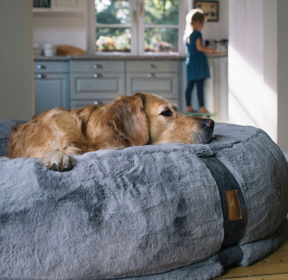 HYGGEBED Das orthopädisch viskoelastische HundebettHundekissen