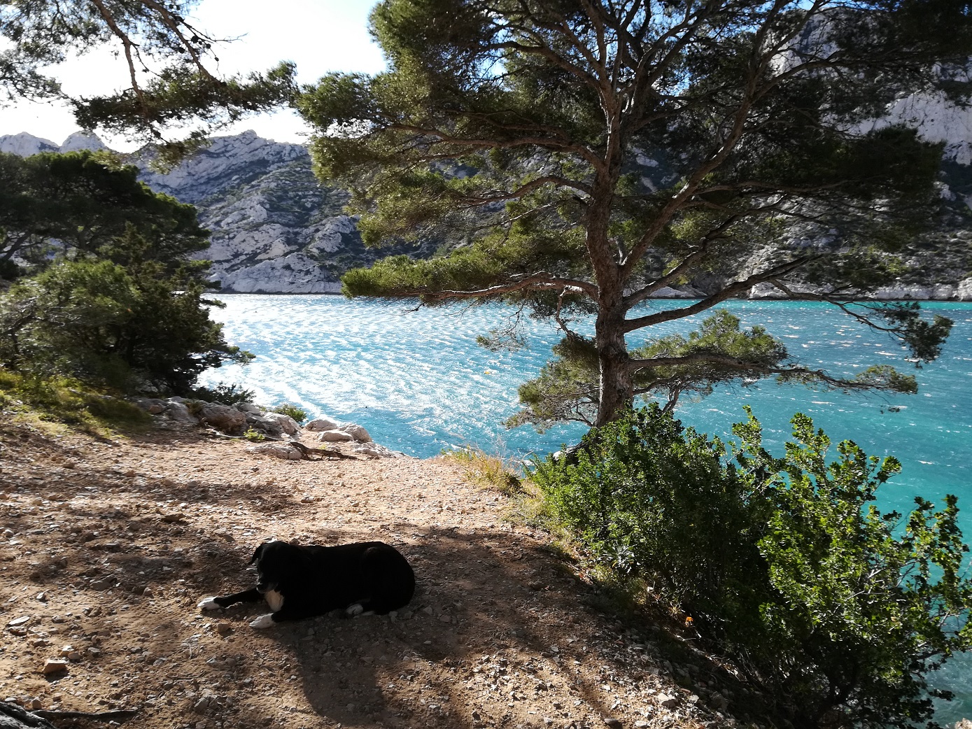 17-La Calanque de Sormiou