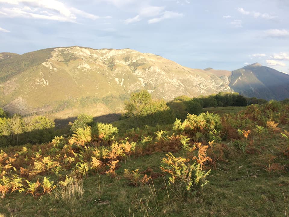 16-Après le Col de la Courrade, on redescend vers Baudean