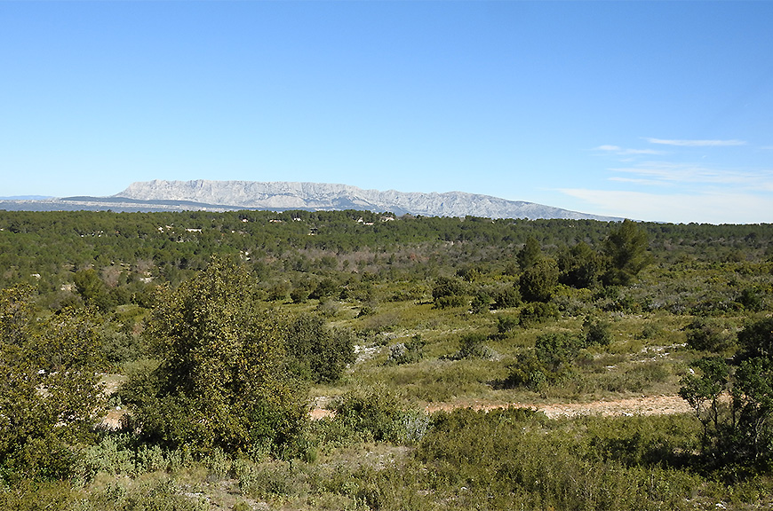 3-Vue sur la Ste Victoire