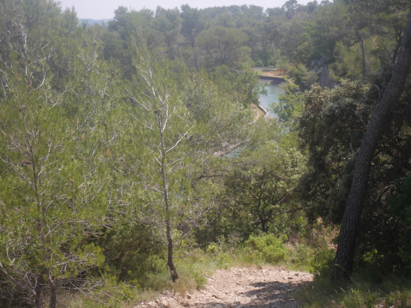 52-Redescente jusqu'au petit canal de Marseille